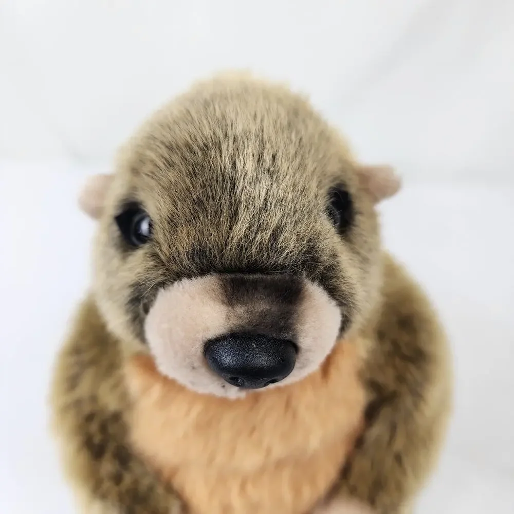 Wildlife Artists Realistic Marmot Groundhog Woodchuck 10